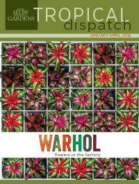 Tropical Dispatch January 2018