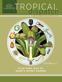 Tropical Dispatch September 2016