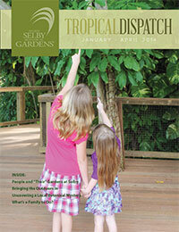 Tropical Dispatch January 2014