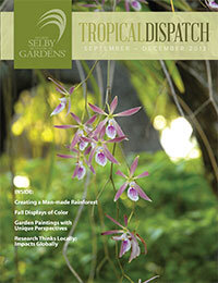 Tropical Dispatch September 2013