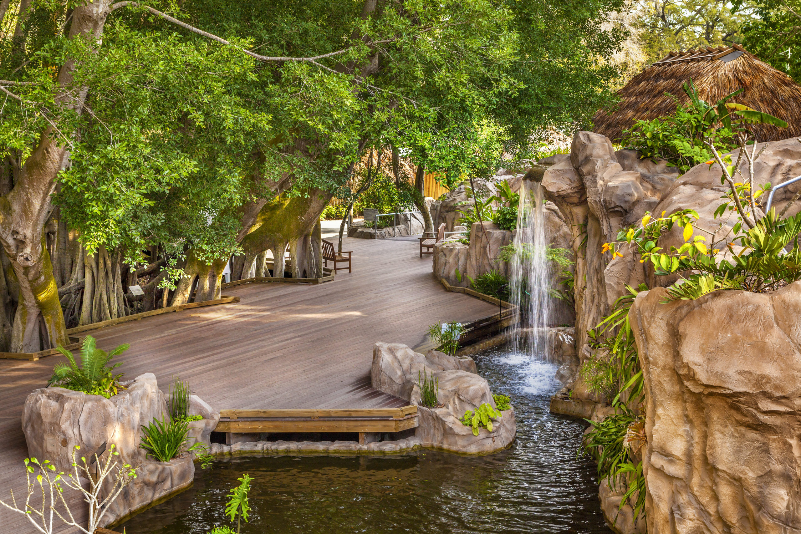 Waterfall in Rainforest Garden