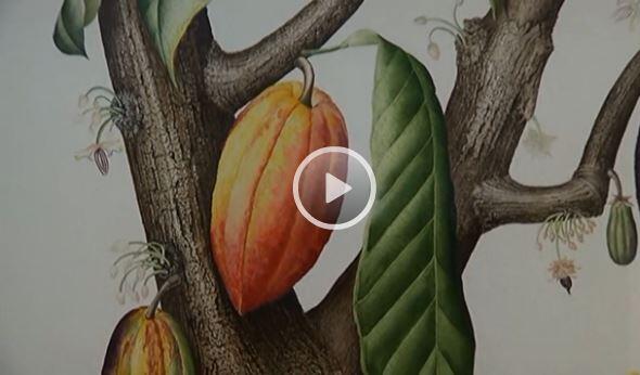 The Art of Botanical Illustration