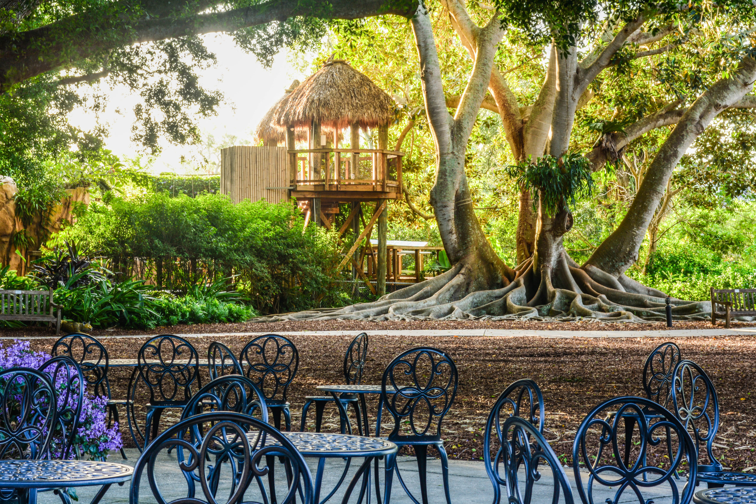 Ann Goldstein: Children’s Rainforest Garden