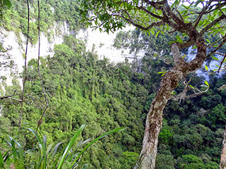 Sinkhole in Belize Expedition