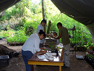 Preparing specimens at Cave's Branch Lodge  in Belmopan, Belize