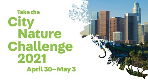 City Nature Challenge Logo