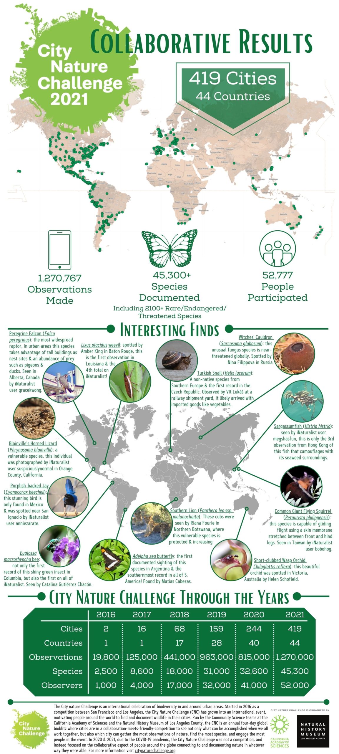 City Nature Challenge Results 2021