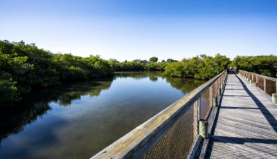 Cocks Footbridge at Spanish Point