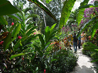 Expedition Belize: Bladen Nature Reserve