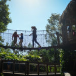 Children walking across bridge