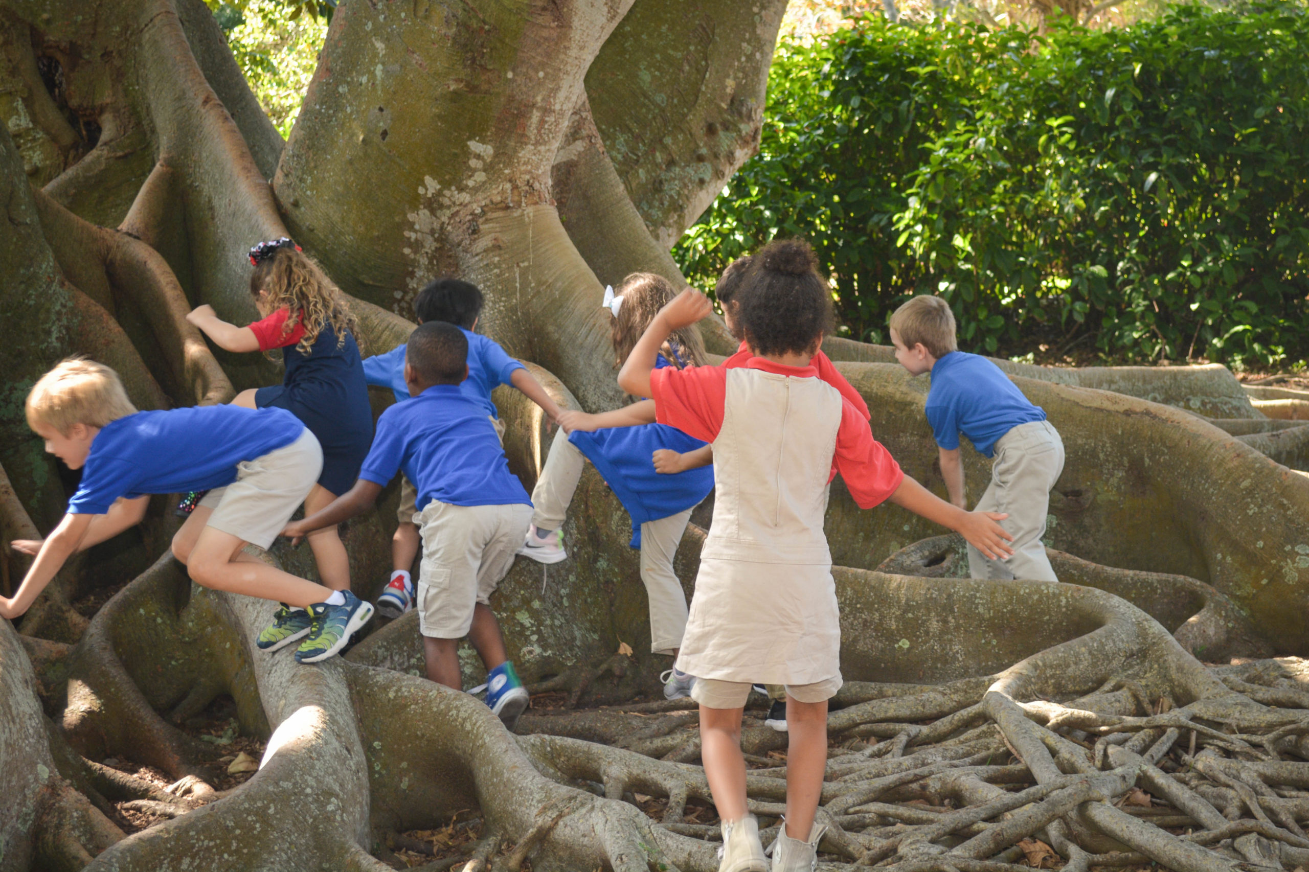 Selby Gardens School Tour