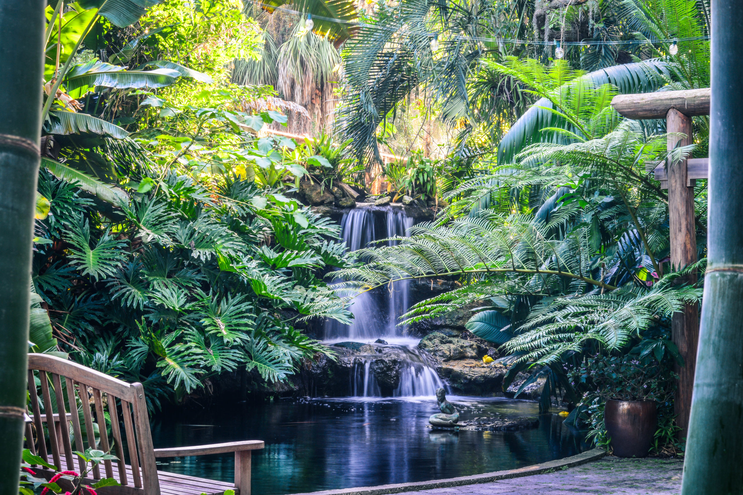 Koi Pond and bench