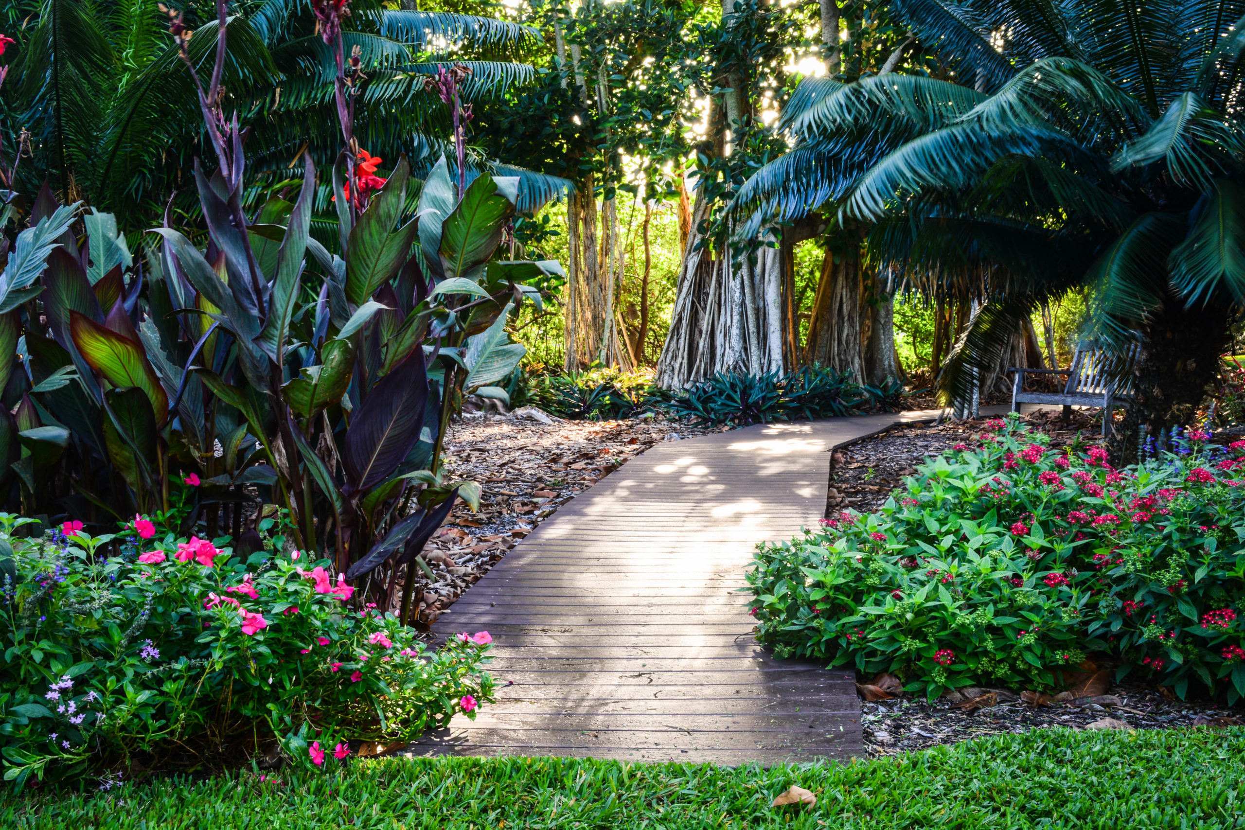 Garden Pathway