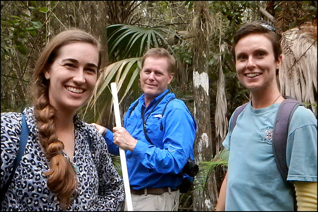 Restoring bromeliads in Fakahatchee Strand Preserve State Park