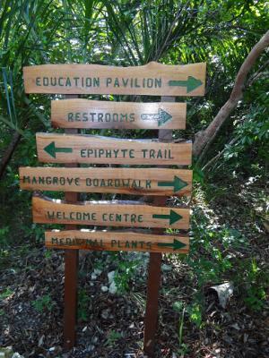 Epiphyte Trail