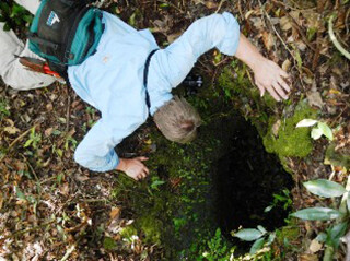 Rare Plant Conservation Updates from Everglades National Park, Florida