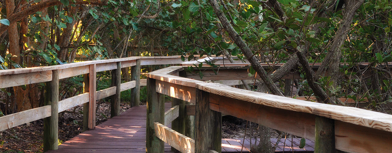 Steinwachs Family Foundation Mangrove Walkway