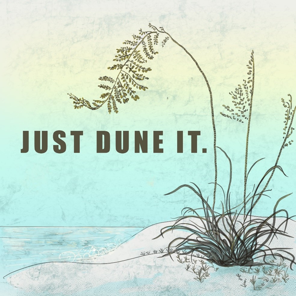 Just Dune It illustrated 