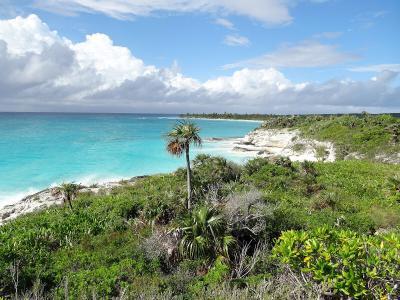 Leon Levy Nature Preserve, Bahamas