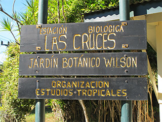 las-cruces-botanical-station-320