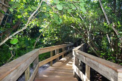 Mangrove Walkway - Complete 2015BKS (12)