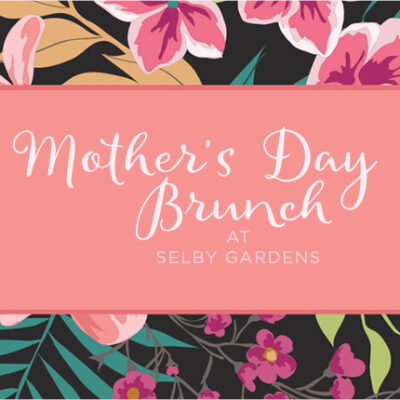 Mother's Day Brunch