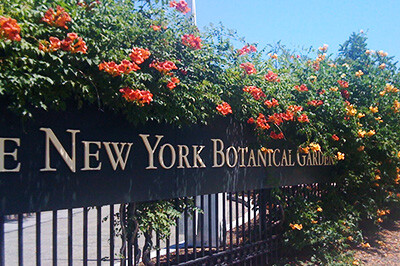 NYBG-entrance