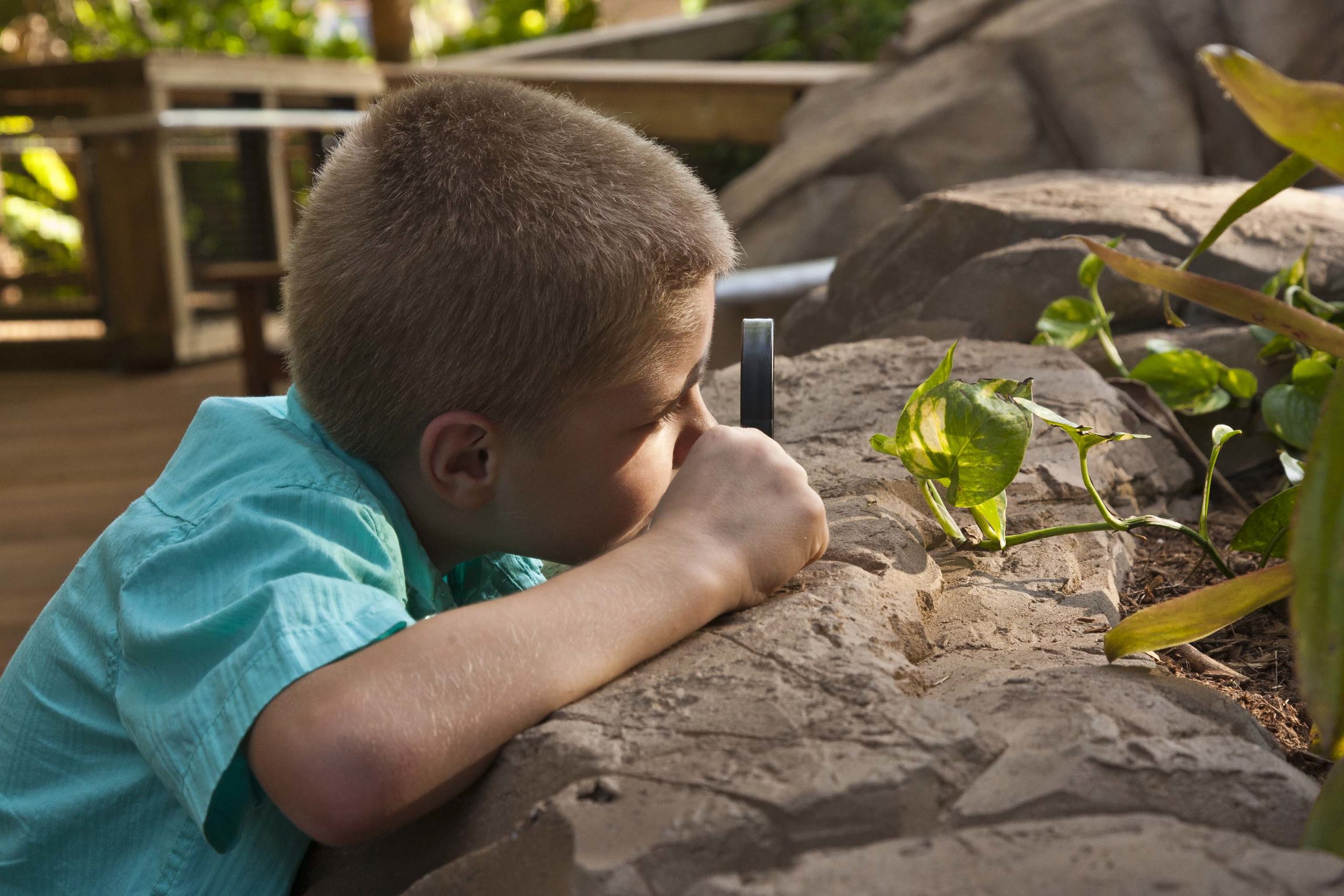 Child with Magnifying glass