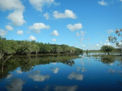 Photo of Myakka Headwaters Preserve