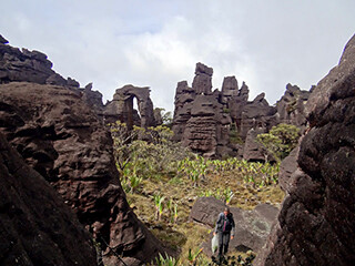 Return to Roraima