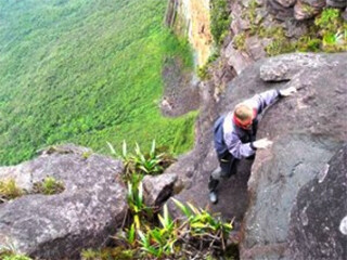 Botanical Inventory and Conservation Status of the Flora of Roraima-tepui, Venezuela