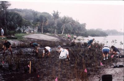 Shoreline Restoration 1997 - 23