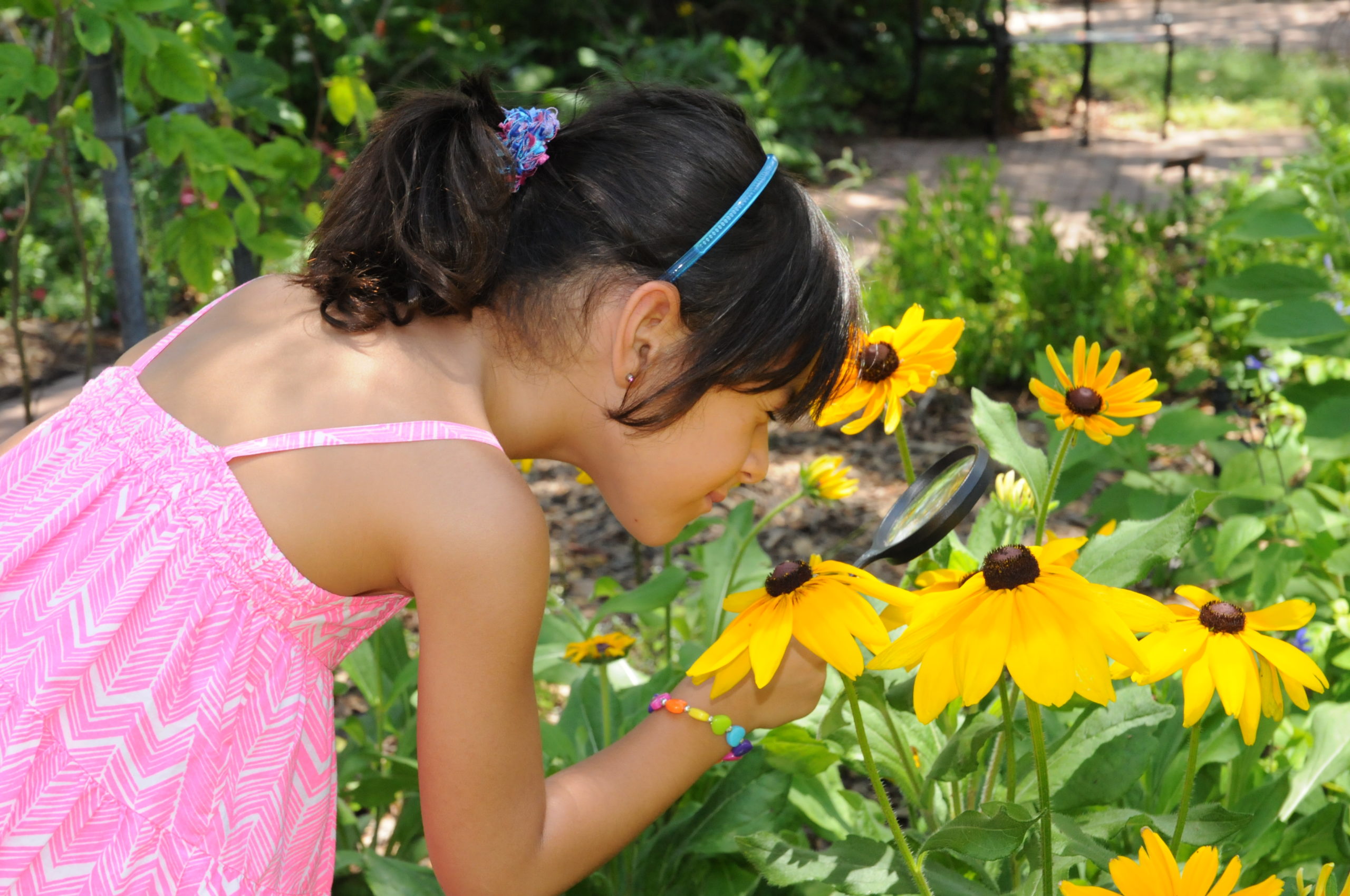 Little Girl inspects flower