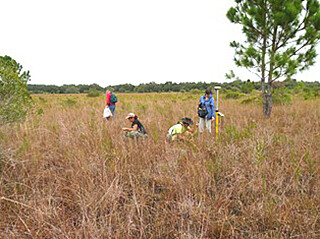 Walton Ranch Preserve Inventory Completed