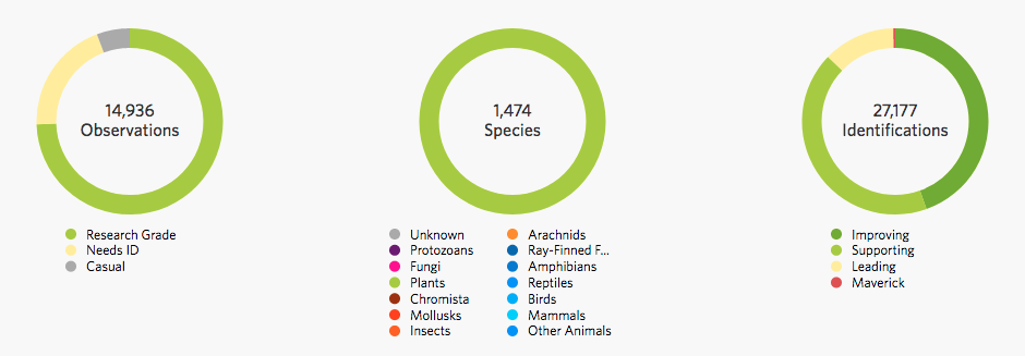 BioBlitz Graph