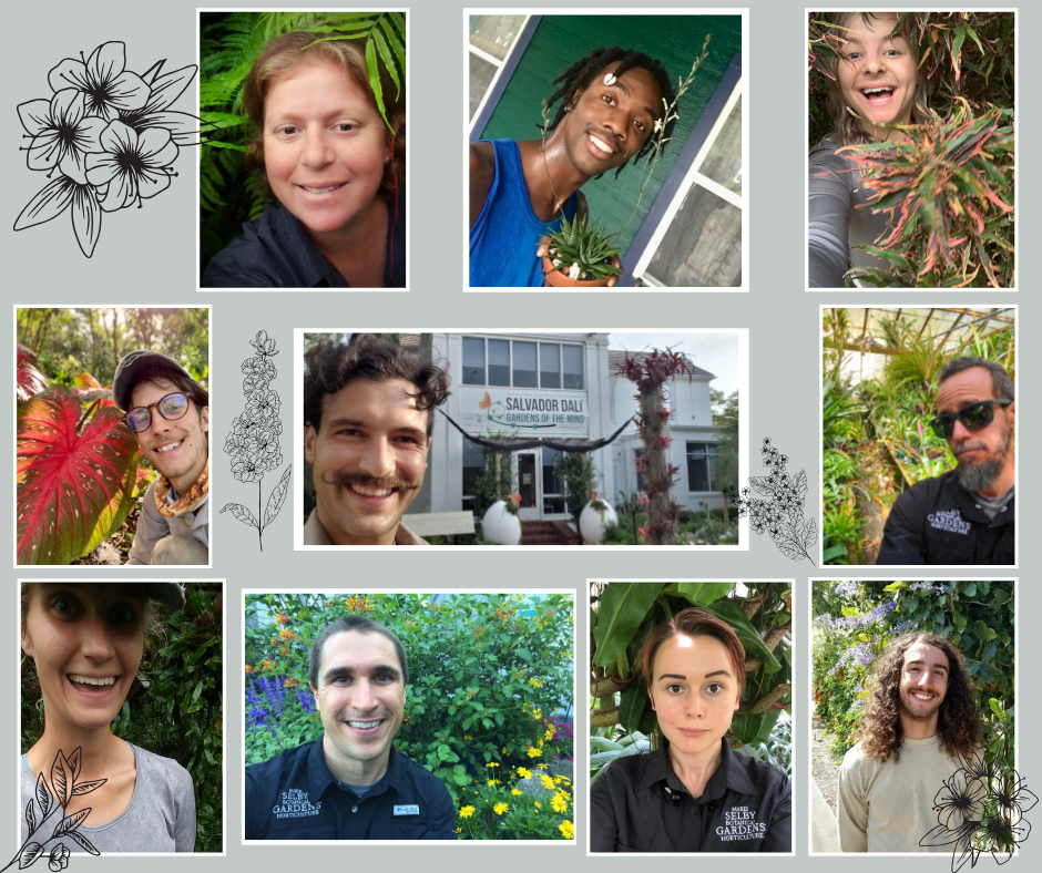 Faces of Selby Garden Horticulture Team